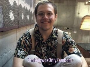 ZimbabwesOnlyZamboni