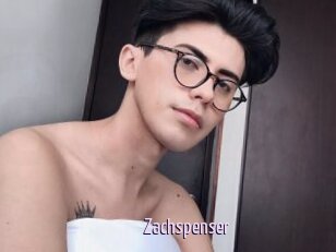 Zachspenser